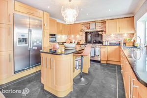 Photo 11- click for photo gallery